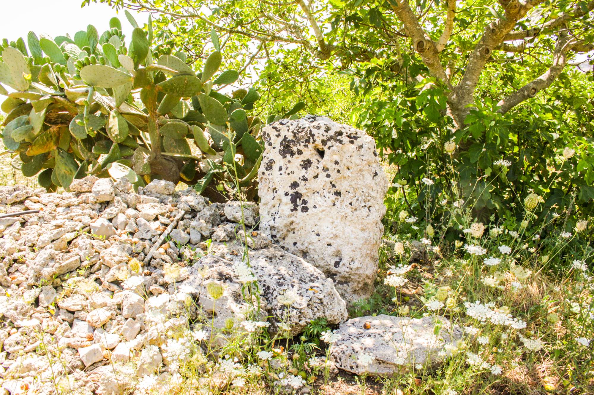 Menhir Pietragrossa_1